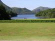 Killarney - Muckross Gardens.JPG