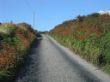 Ring of Kerry - Valentia Island01.JPG