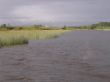Bootsfahrt auf dem River Shannon03.JPG